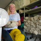 Vunom prede svoje snove