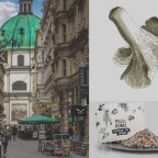 BEČKE PRIČE IZ SVIJETA ZANATA (3): Proizvodnja gljiva na otpadu od kafe