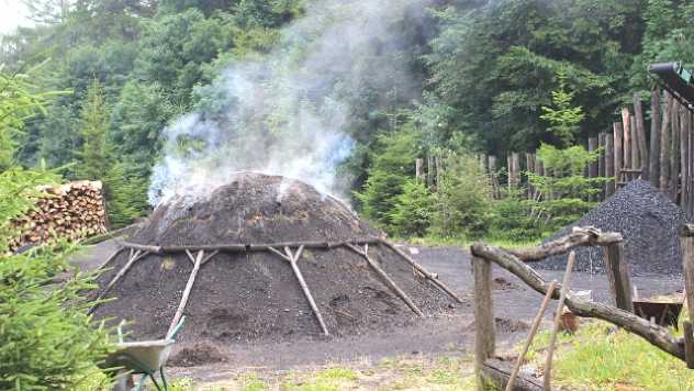 cumurkane_opet_u_modi