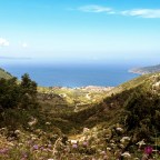 Priče nesuđenog kuhara:                      Sjećanja i ukusi iz male kuhinje u Komiži