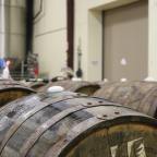 Trebinje se uzda u program zapošljavanja