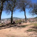 Privrednici pozvani da učestvuju u pripremi Programa za razvoj male privrede u Kantonu Sarajevo