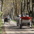 Fijakeristima obezbijeđena sredstva za nabavku dresiranih konja