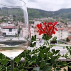 Foto reportaža: Wine & Gastro regionalni Hedonist Fest u Sarajevu