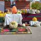 Počeli 10. “Dani bundeve” u Istočnom Sarajevu