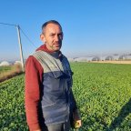 Uzgaja jedino povrće koje se ničim ne tretira, za branje spremno za 40 dana