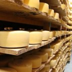 Livanjski sir prvi prehrambeni proizvod sa Zapadnog Balkana zaštićen geografskom oznakom EU