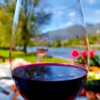 Putevima vina, prirode i užitka