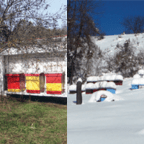 Romanijski med zaštićen oznakom porijekla